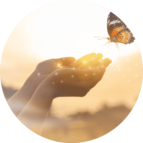 Branding & UX Case study